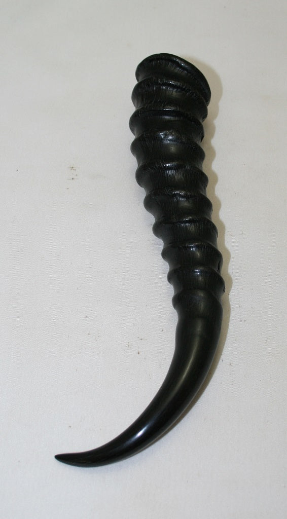 NB401MF8 Springbok Whole Horn Male