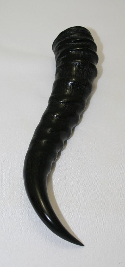 NB401NL8 Springbok Whole Horn Male