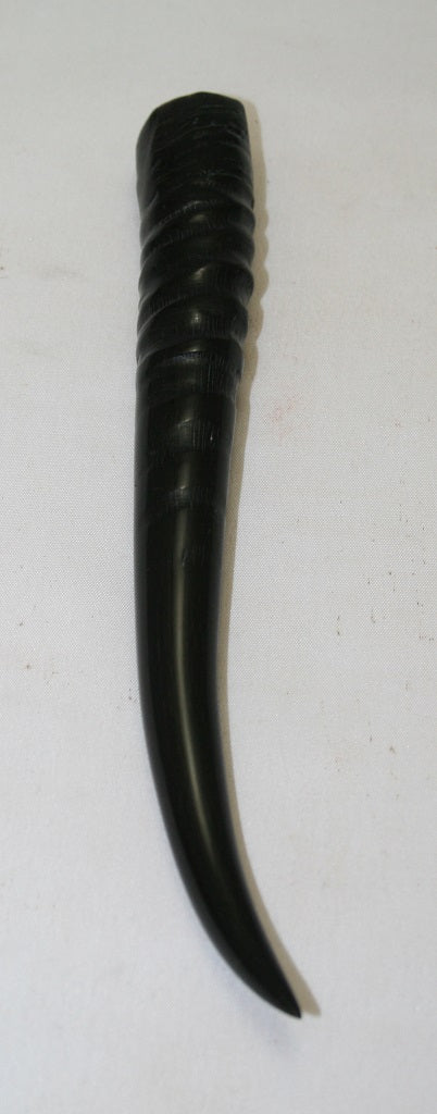 NB402MF23 Springbok Whole Horn Female