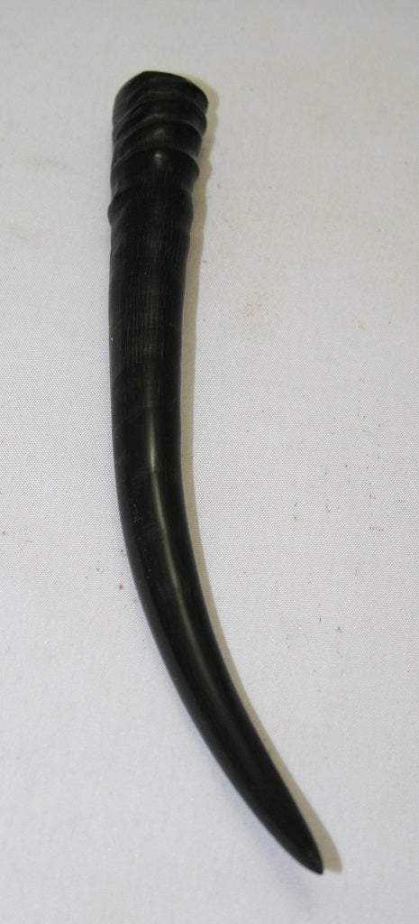 NB402MF33 Springbok Whole Horn Female