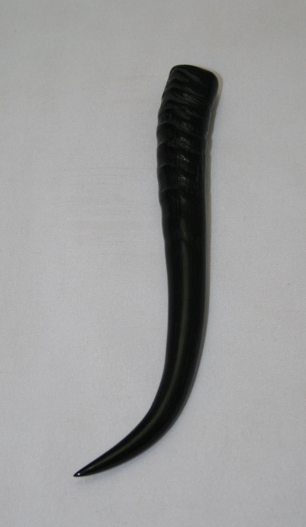 NB402MJ7 Springbok Whole Horn Female