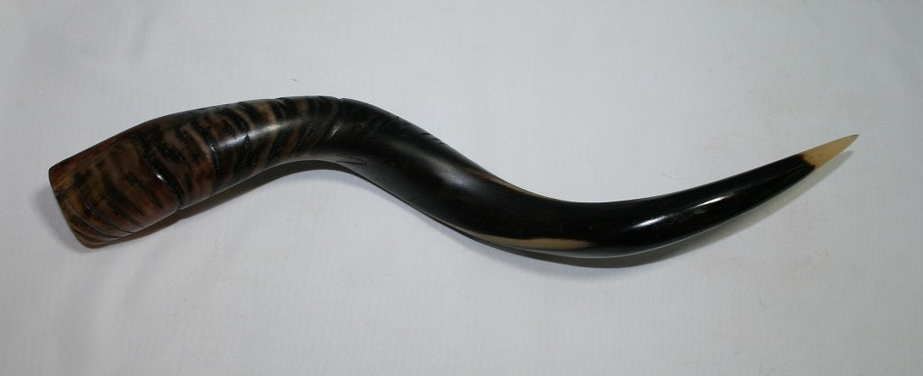 NB500LT1   Kudu Whole Horn