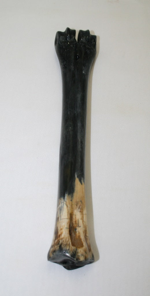 NB601AYA12 Wildebeest Bone