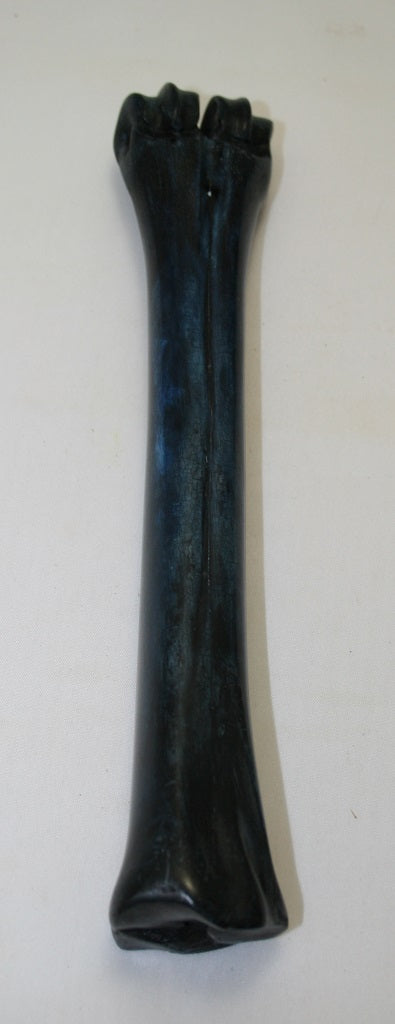 NB601AYA17 Wildebeest Bone