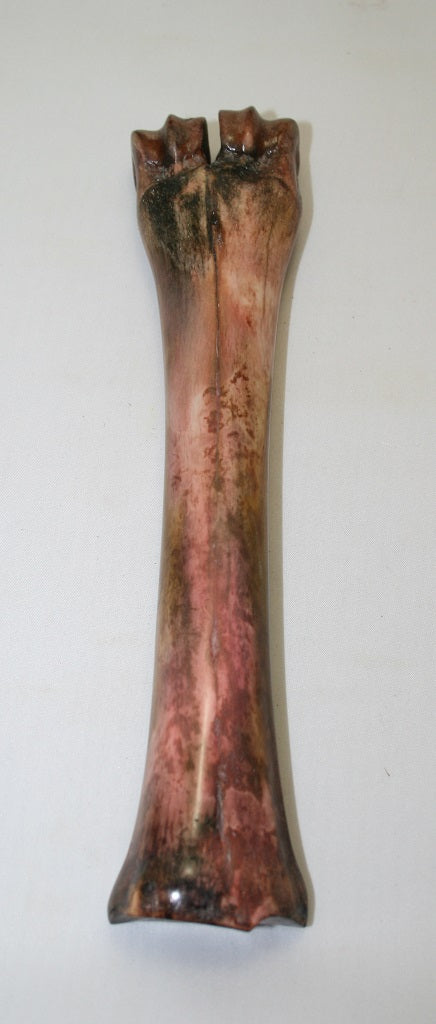 NB601AYA20 Wildebeest Bone