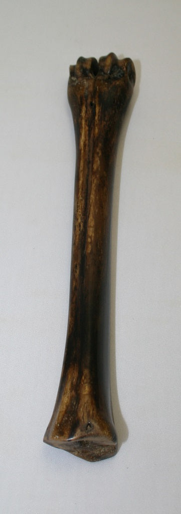 NB601AYA2 Wildebeest Bone