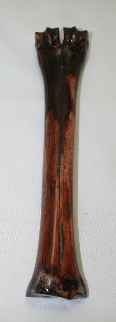 NB601AY10 Wildebeest Bone