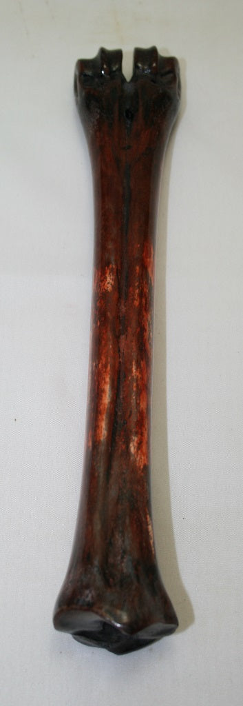 NB601AY1 Wildebeest Bone