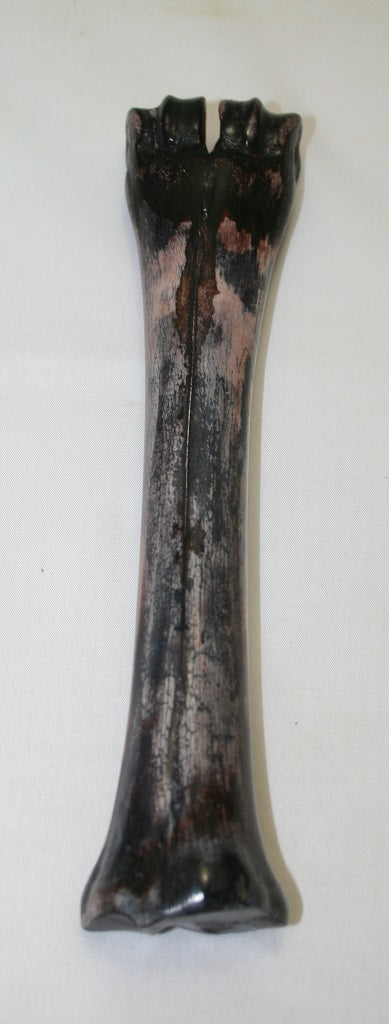 NB601AY2 Wildebeest Bone