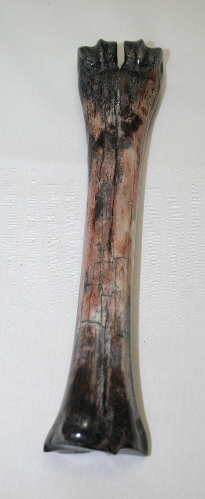 NB601AY3 Wildebeest Bone