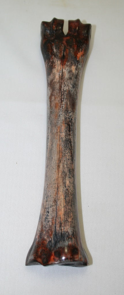 NB601AY5 Wildebeest Bone