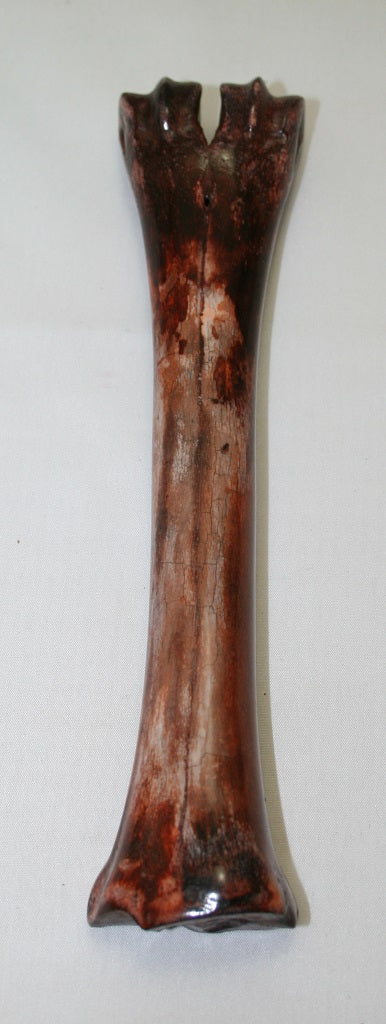 NB601AY6 Wildebeest Bone