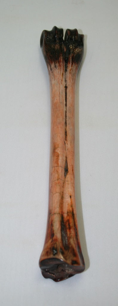 NB601F4 Wildebeest Bone