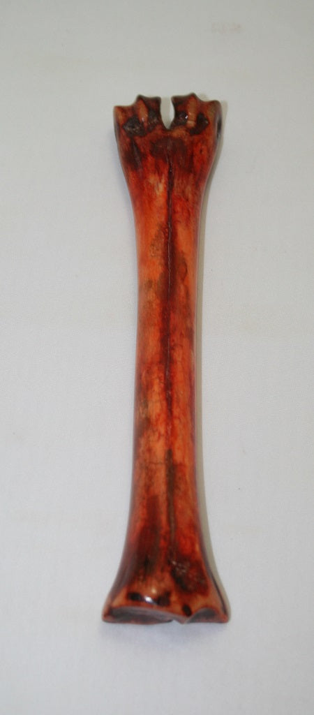 NB601F5 Wildebeest Bone