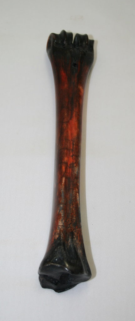 NB601F9 Wildebeest Bone