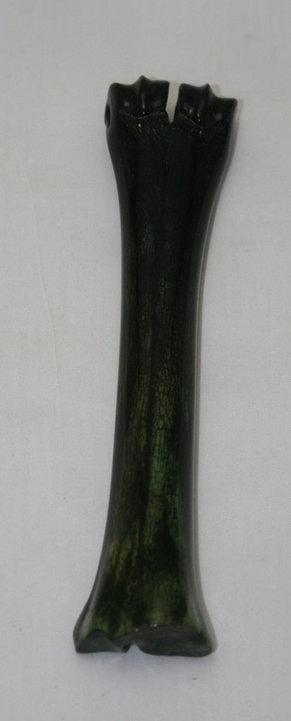 NB601G11 Wildebeest Bone