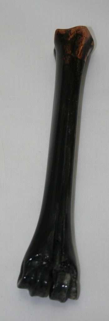 NB601G15 Wildebeest Bone