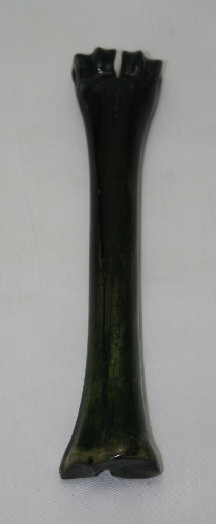 NB601G20 Wildebeest Bone