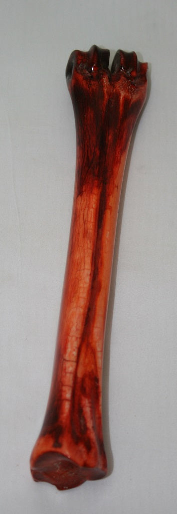 NB601G3 Wildebeest Bone