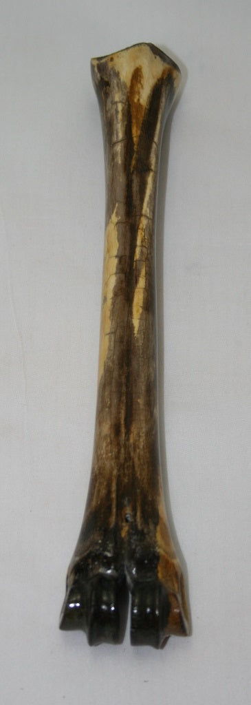 NB601G8 Wildebeest Bone