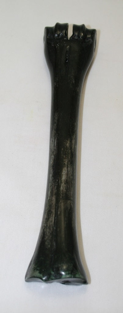 NB601LT12 Wildebeest Bone