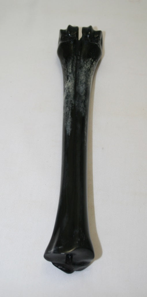 NB601LT18 Wildebeest Bone