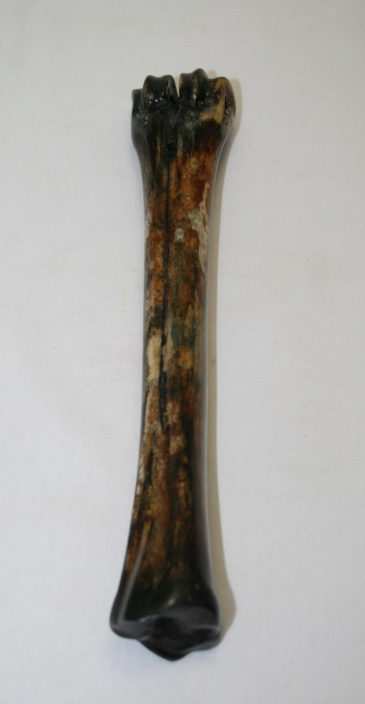 NB601LT26 Wildebeest Bone