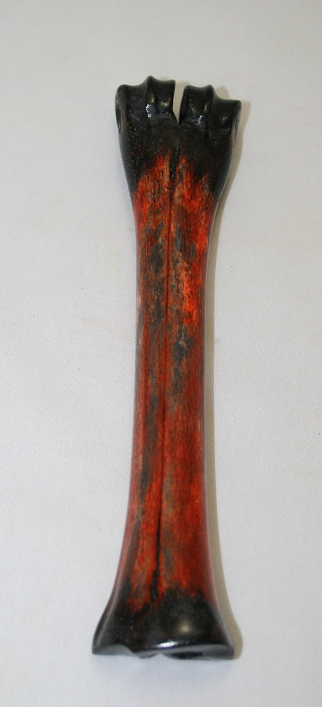 NB601LT30 Wildebeest Bone