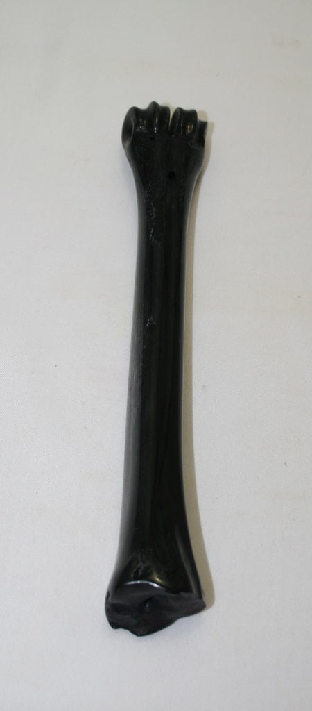 NB601LT41 Wildebeest Bone