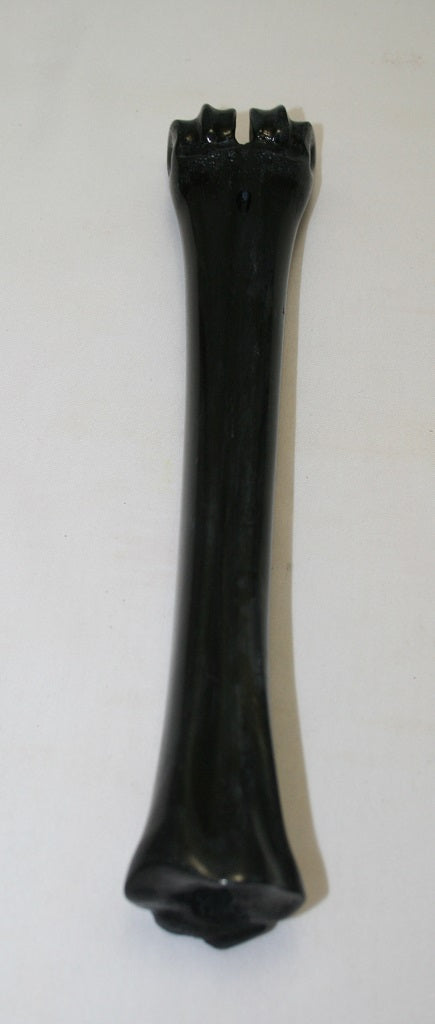 NB601LT45 Wildebeest Bone