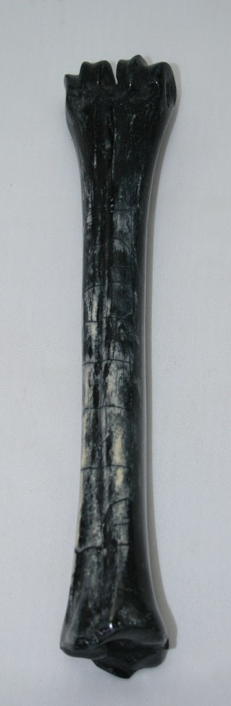 NB601L11 Wildebeest Bone