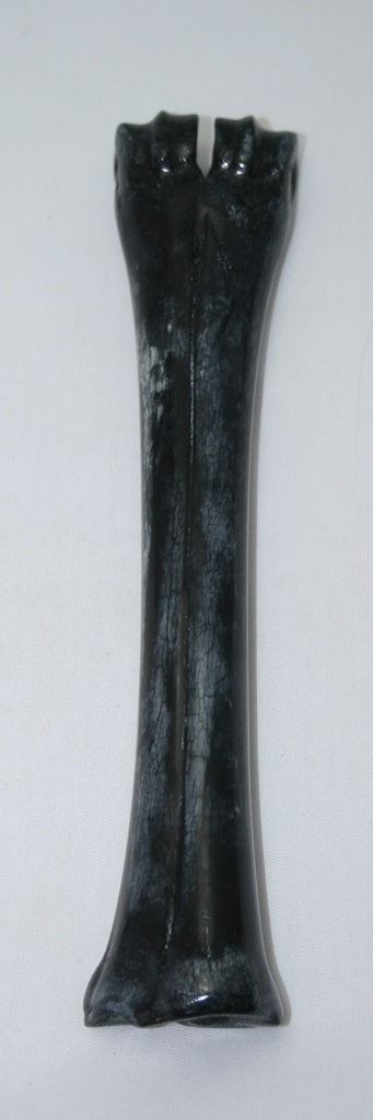 NB601L28 Wildebeest Bone