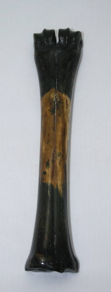 NB601L9 Wildebeest Bone