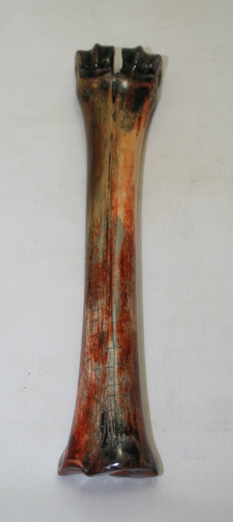 NB601MF13 Wildebeest Bone