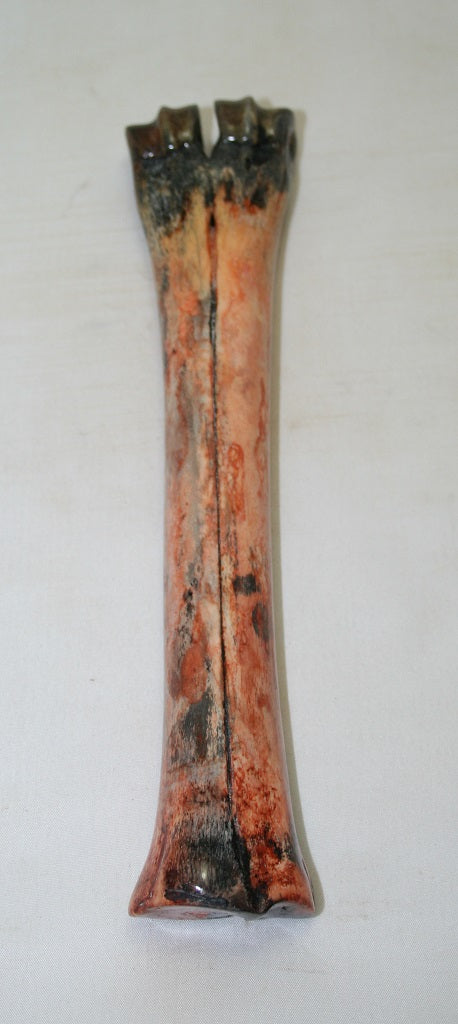 NB601MF1 Wildebeest Bone