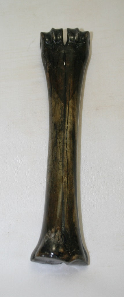 NB601MF4 Wildebeest Bone