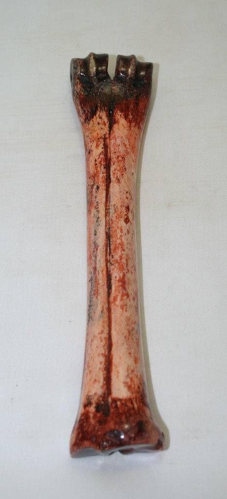 NB601MF5 Wildebeest Bone