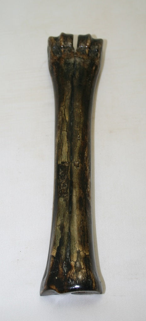 NB601MF6 Wildebeest Bone