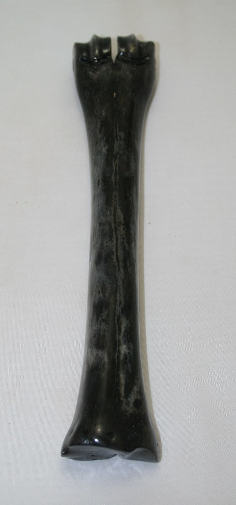 NB601MJ11 Wildebeest Bone