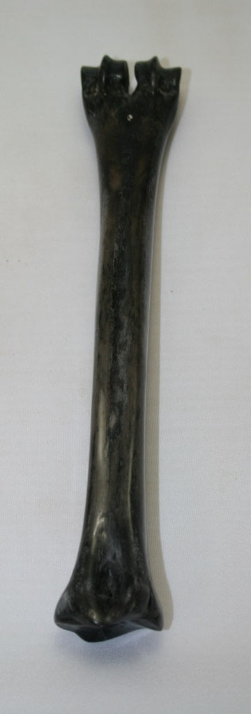 NB601MJ2 Wildebeest Bone