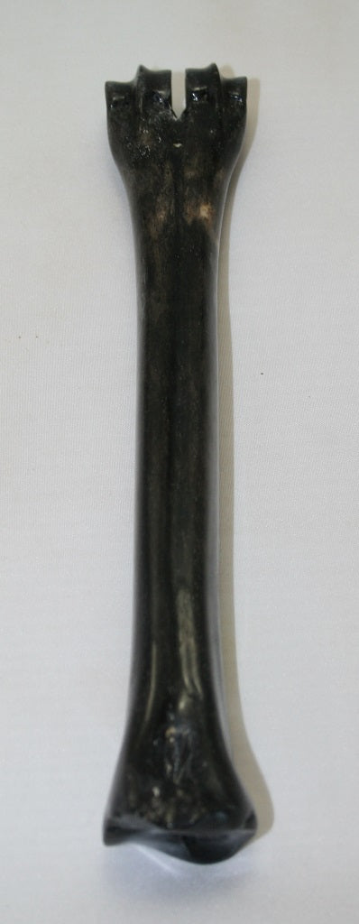 NB601MJ4 Wildebeest Bone