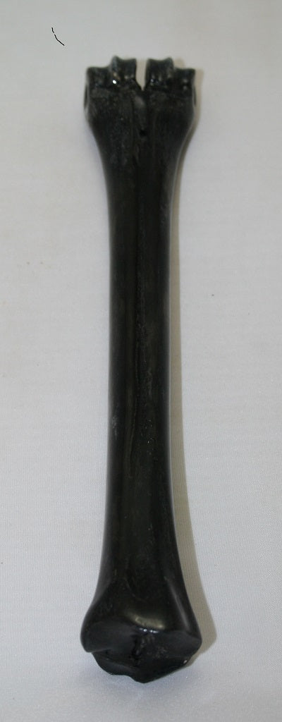 NB601MJ6 Wildebeest Bone