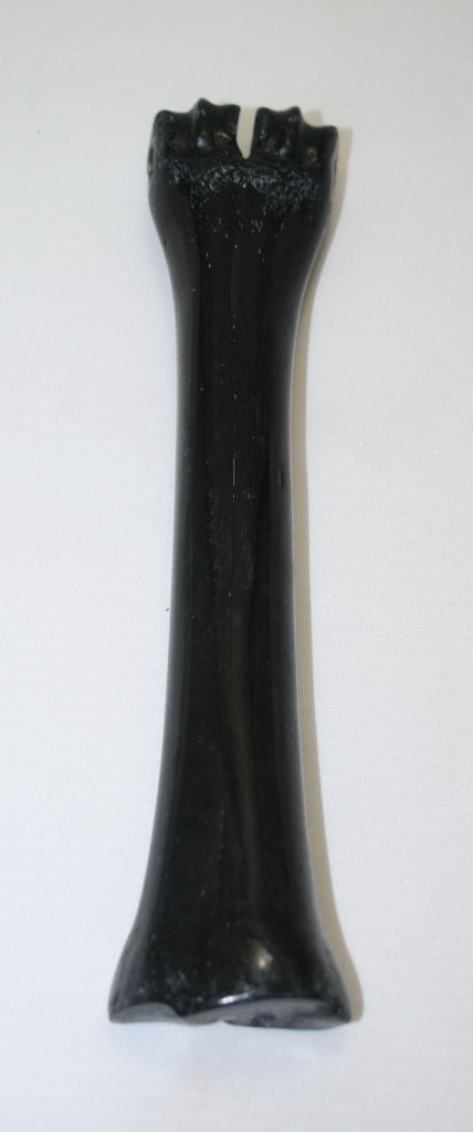 NB601NL1 Wildebeest Bone