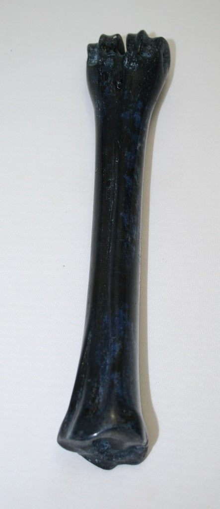 NB601NL3 Wildebeest Bone