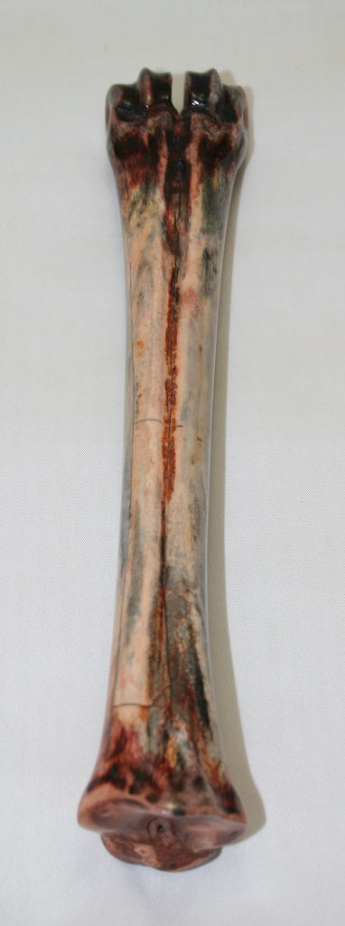 NB601SO10 Wildebeest Bone