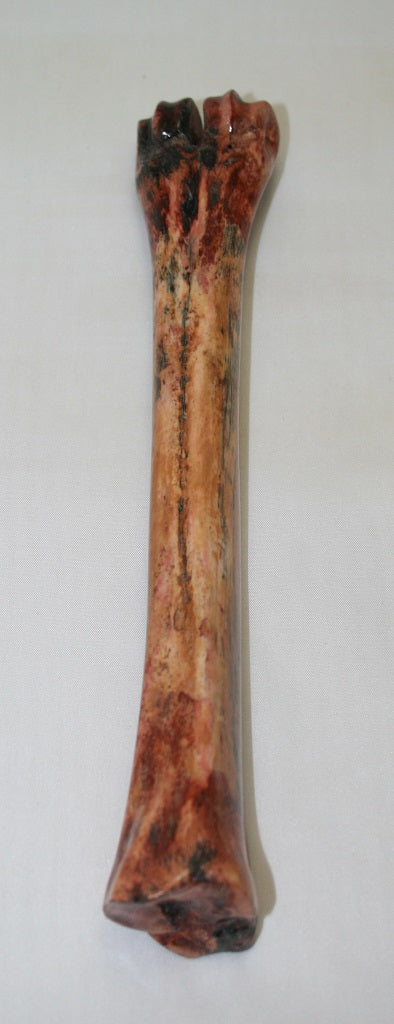 NB601SO15 Wildebeest Bone