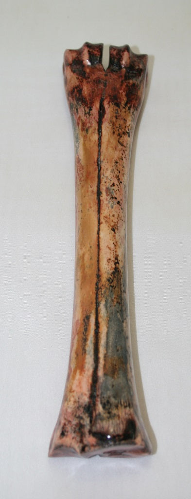 NB601SO20 Wildebeest Bone