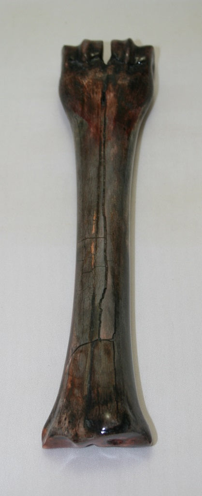NB601SO5 Wildebeest Bone