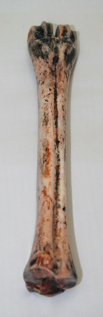 NB601SO6 Wildebeest Bone