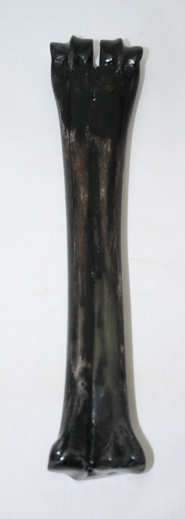 NB601S6 Wildebeest Bone